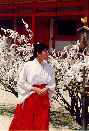 Photo d'une Miko, prêtresse shintoïste