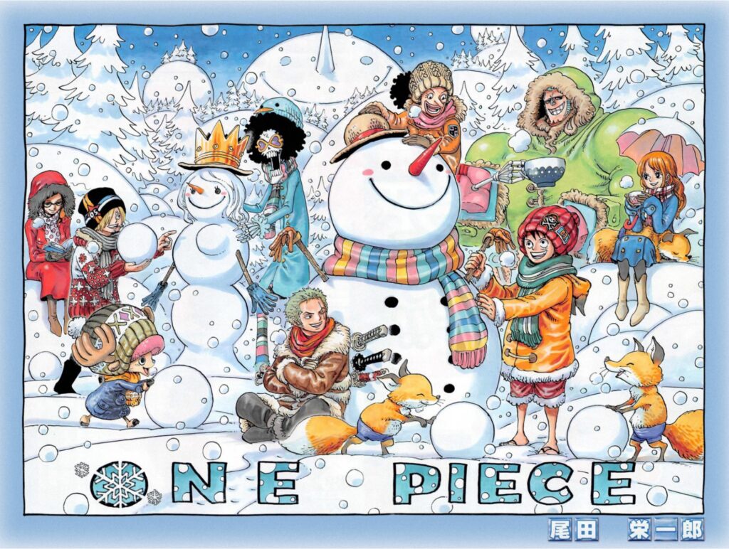 one piece cover snow